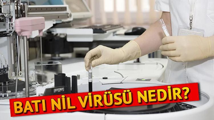 Batı Nil Virüsü nedir nasıl bulaşır? İşte Batı Nil Virüsü belirtileri