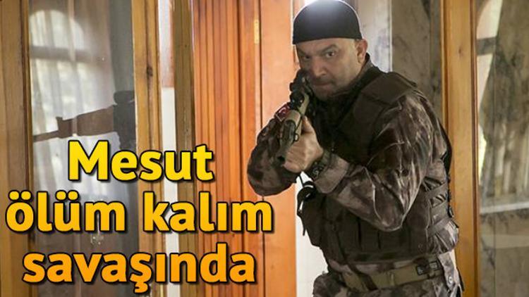 Arka Sokaklar'ın yeni bölümünde Mesut kurtulacak mı? İşte Arka Sokaklar'ın 533. bölüm fragmanları
