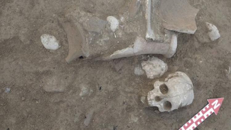 Şapinuva Antik Kenti'nde 3500 yıllık insan kafatası ve uyluk kemiği bulundu