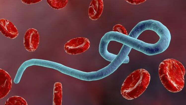Ebola'yla mücadele için 53 milyon dolar bağış