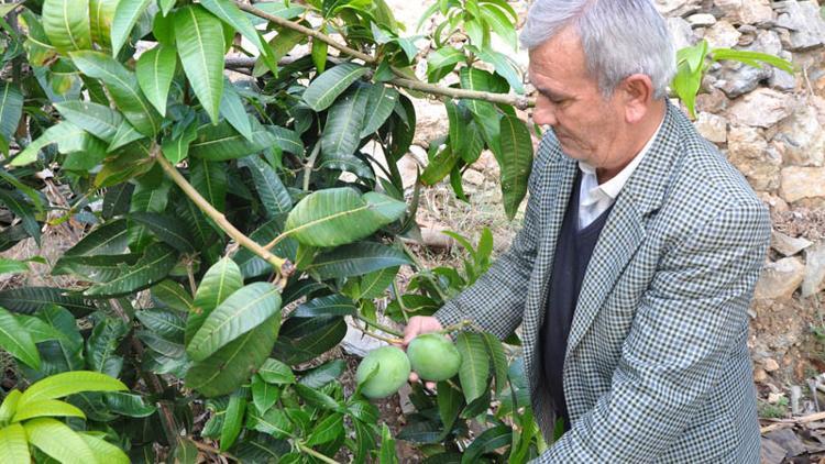 Deneme amaçlı yaptı! 45 bin lira kazandı