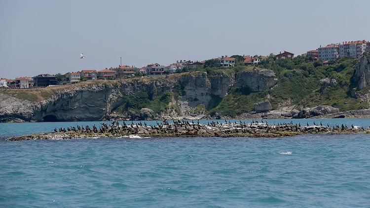 İBB, ünlü sahilin parkını 22.7 milyon TL'den satışa çıkardı