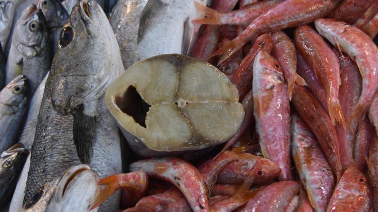 Balık satın alırken dikkat! Palamutta büyük hile