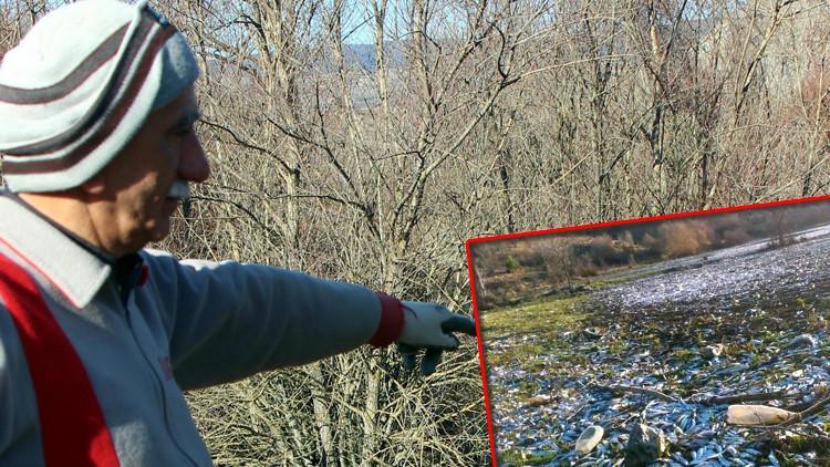 Görüntüler tedirginlik yaratmıştı... 360 bin lira ceza kesildi