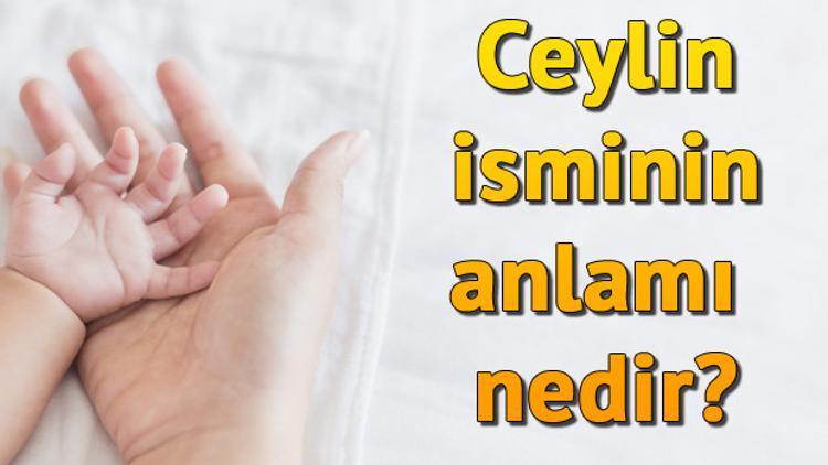 Ceylin isminin anlamı nedir? Ceylin ne demek? - Son Dakika Haberleri ...