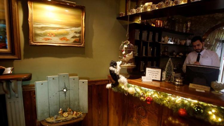 Banksy'nin yeni maketi Beltüllahim'de