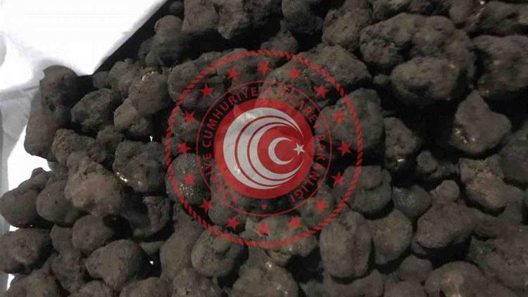 80 kilo trüf mantarı, ihale ile satışa çıkarıldı