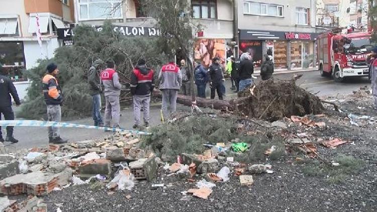 Ümraniye'de fırtına ağaç devirdi