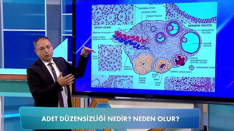 Adet düzensizliği neden olur?