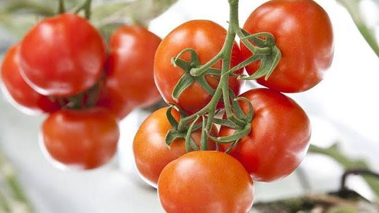 İstanbullular 2019 yılında en çok domates ve patates tüketti