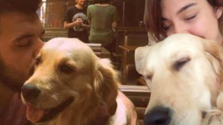 Eski sevgililerin 'köpek' davasında karar!