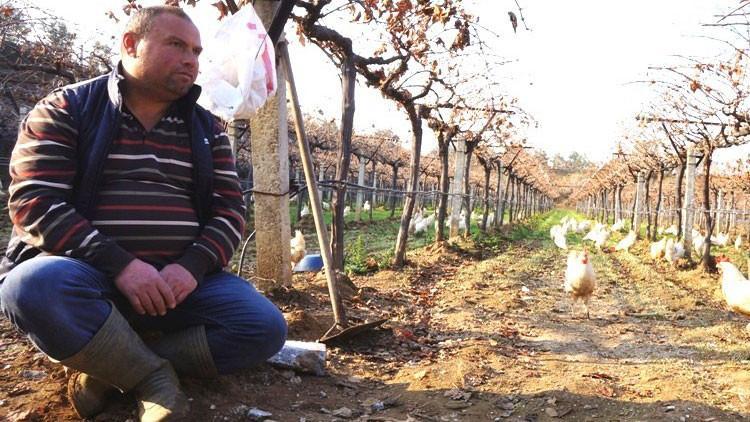 Talepleri karşılamak için çiftlik kurdu! Şimdi siparişlere yetişemiyor