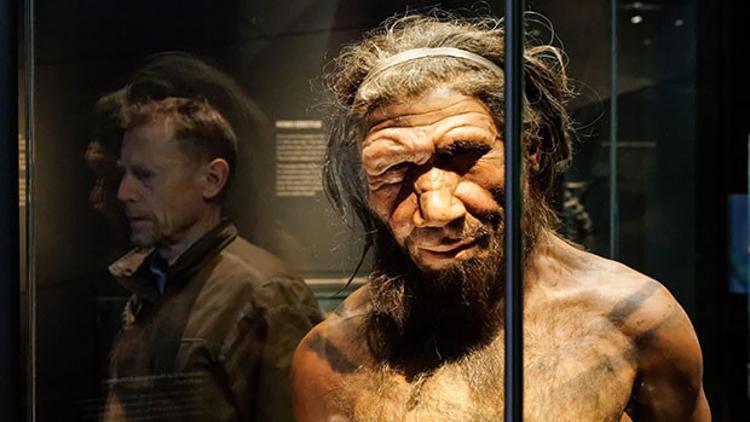 Neandertaller 'yüzebiliyor ve dalabiliyordu'