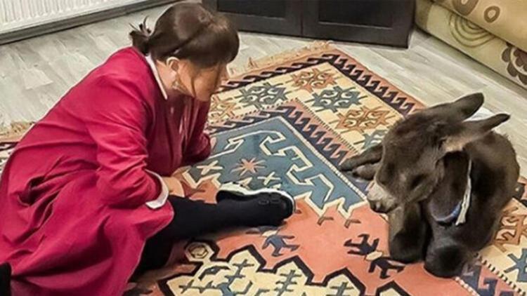Fotoğraf güzel ama Sezen’in evi çiftlik değil