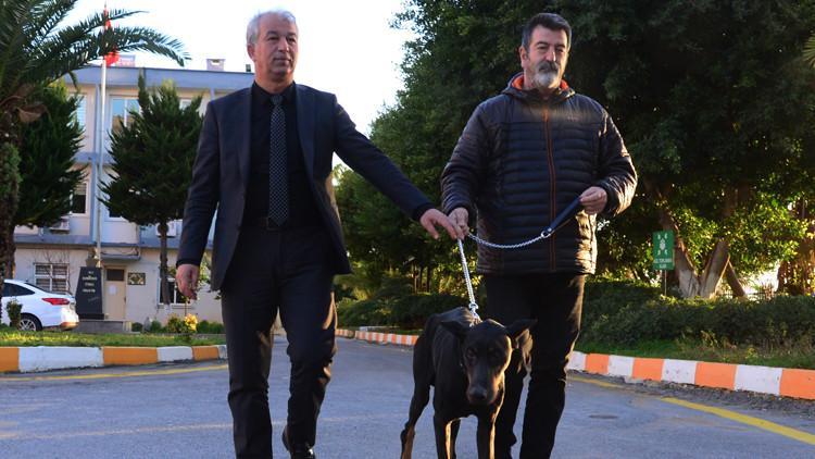 Bakan Pakdemirli'nin sahip çıktığı 'Bobo', artık görebilecek