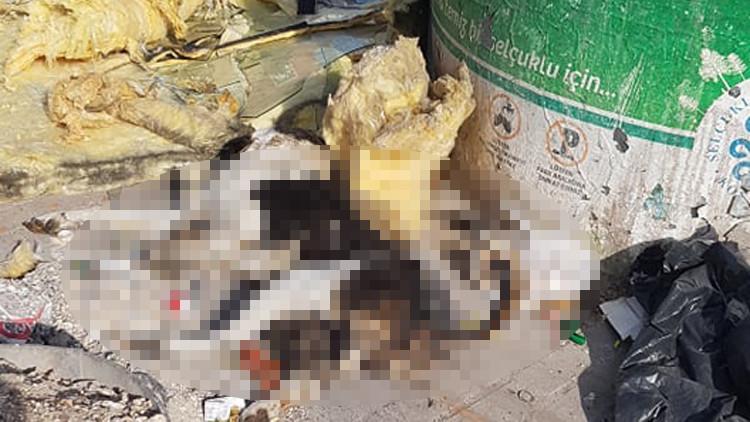 Çöpte bir kısmı yanmış köpek ölüsü bulundu