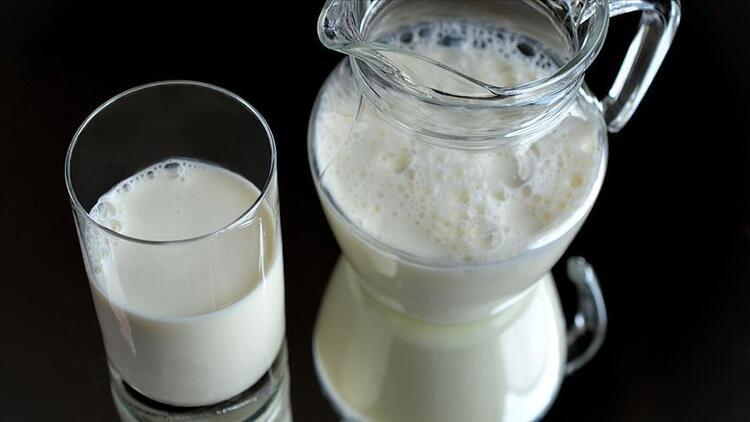 Geçen yıl en çok süt üreten il Konya oldu
