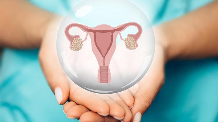 Yumurta Dondurma Nedir? Kimlere Uygulanır?
