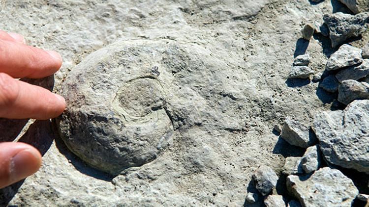 Ortaçağ savaşçılarının gizemli mezarları pek çok sırrı gün yüzüne çıkardı