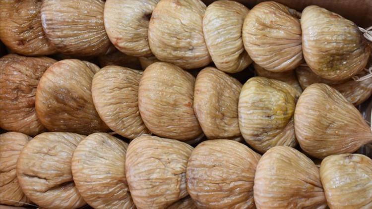 Kuru incirin ihracatı artıyor