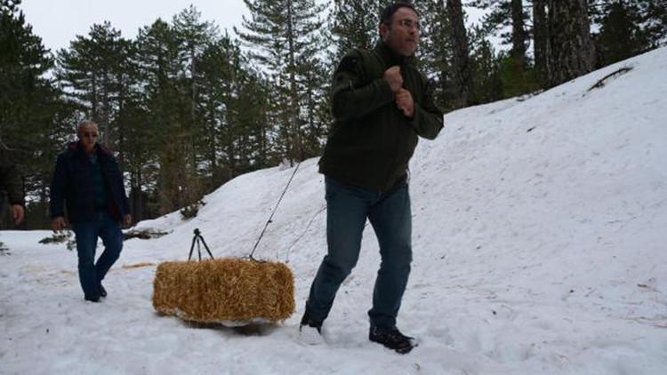 Kazdağları’na karacalar için saman, kuşlar için yem bırakıldı