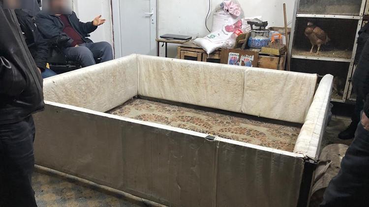 Adıyaman'da horoz dövüştürüp, bahis oyanatanlara operasyon