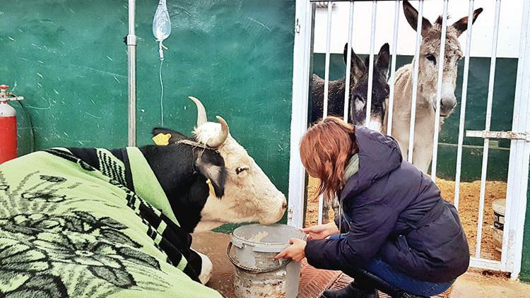 Nazlı'dan acı haber