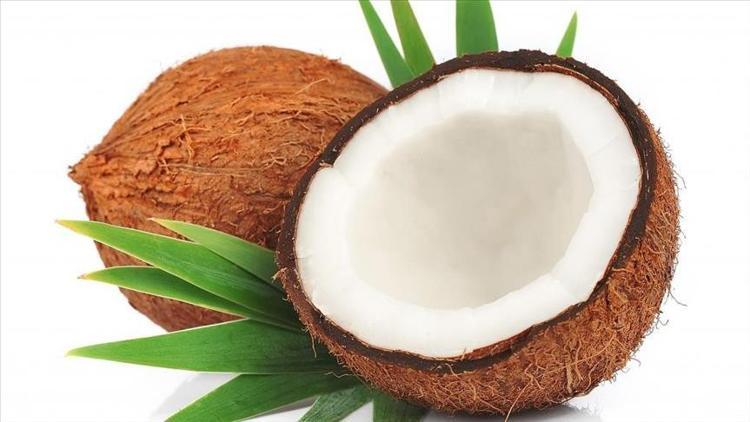 Survivor ile gündeme gelen kokonat nedir?