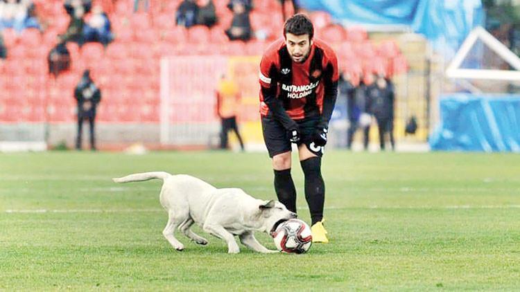 Bırakın ben oynayacağım!