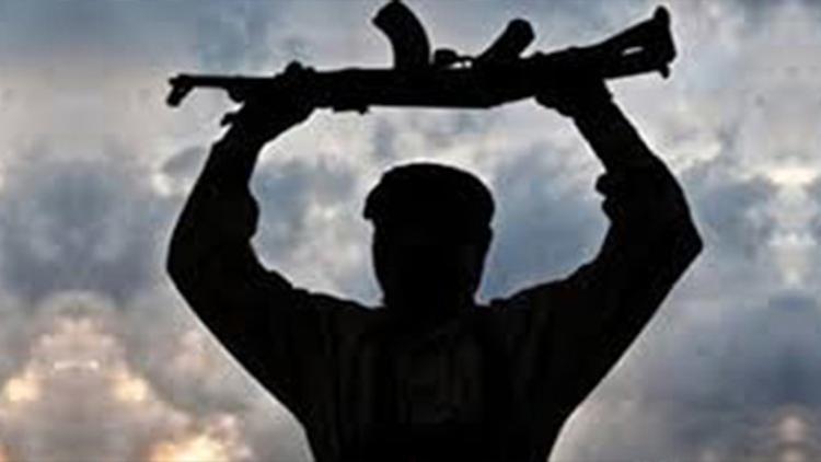 Şanlıurfa'da bir terörist güvenlik güçlerine teslim oldu