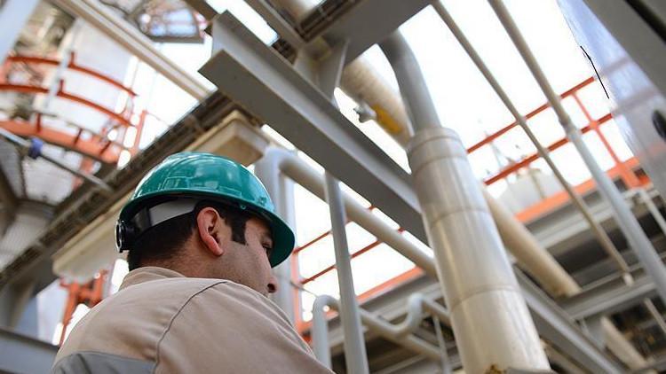 Rosneft'in karı arttı