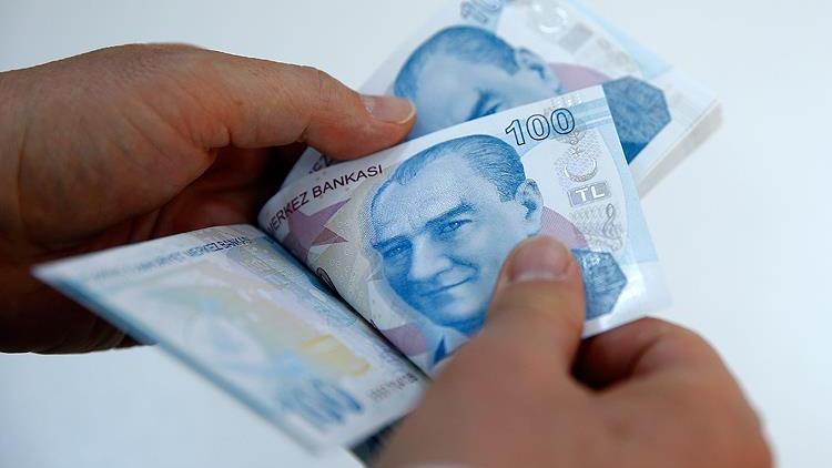 Vize almak istedi, mağdur oldu! 730 lirası bir anda buharlaştı