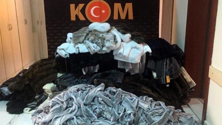 Edirne'de 522 vizon postu ve 81 kürk mont ele geçirildi