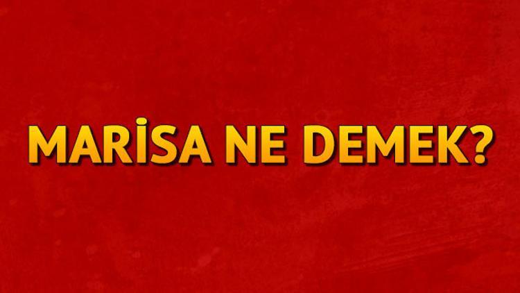 Saadet Işıl Aksoy'un kızının adı Marisa ne demek? Marisa isminin anlamı nedir?