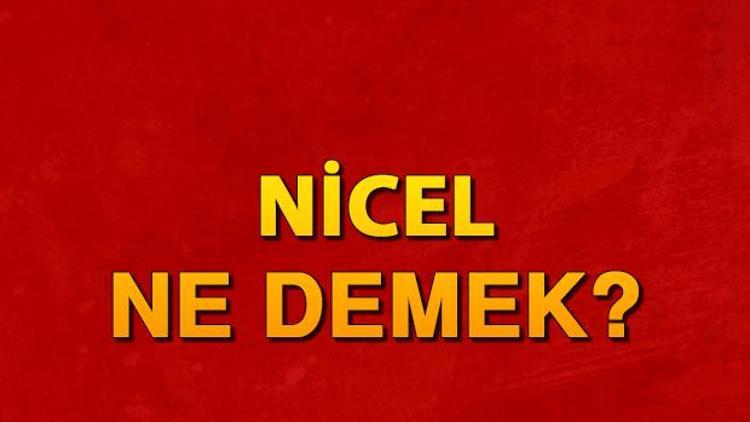 Nicel Ne Demek? Nicel Ve Nitel Anlam Nedir? - Son Dakika Haberler