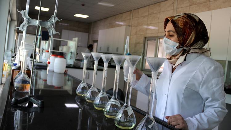 Şanlıurfa'da üretiliyor! Körfez ülkeleri, Avrupa ve ABD'ye satılıyor