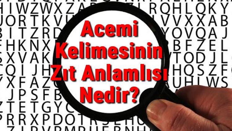 Acemi Kelimesinin Zıt Anlamlısı Nedir?
