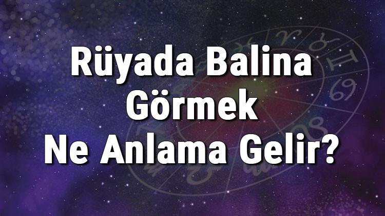Ruyada Balina Gormek Ne Anlama Gelir Ruyada Balina Baligi Sevmek Ve Beslemek Anlami Mahmure