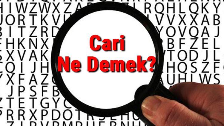 cari ne demek cari nedir cari tdk kelime anlami son dakika haberleri internet