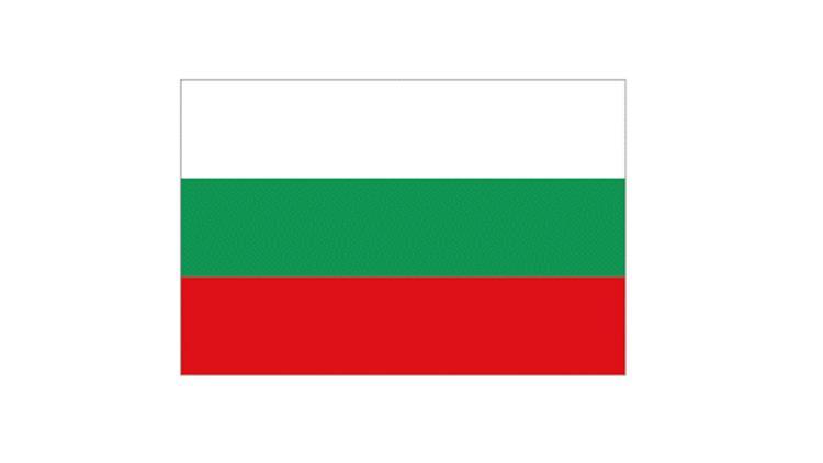 Bulgaristan para arayışına girdi