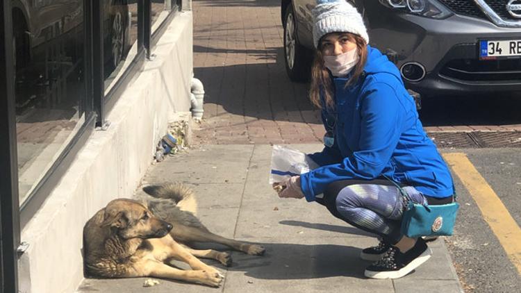 Serap Tibuk sokak hayvanlarını besledi