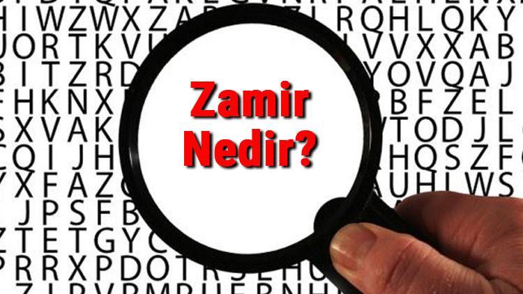 Zamir Nedir? Zamir Çeşitleri Ve Özellikleri Nelerdir? Zamirler (Adıllar) Konu Anlatımı Ve Örnekleri