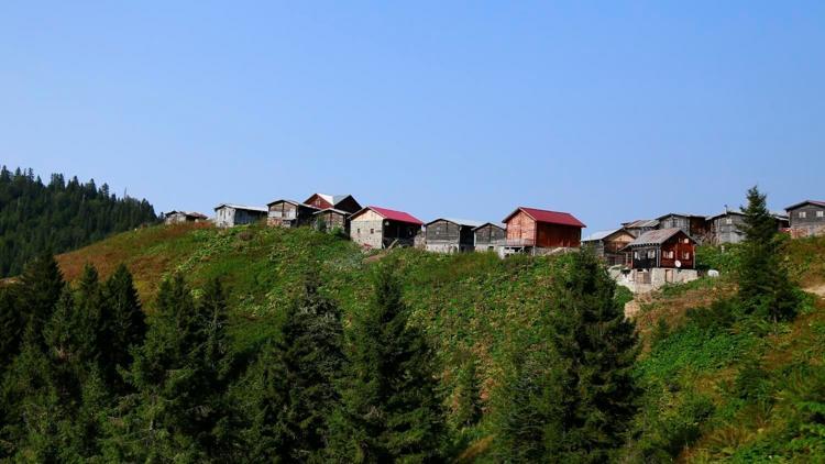 Bahar rotası Rize: Evimizden Karadeniz lezzetlerine yolculuk