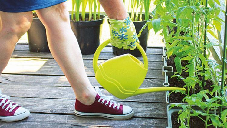 Tam zamanı! Dalından mutfağa en kısa yol: Balkon bahçeciliği