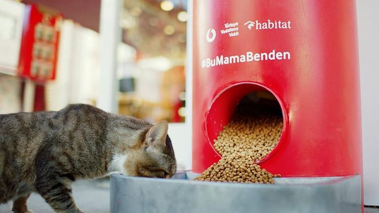 Evde kaldığımız bugünlerde sokak hayvanları #BuMamaBenden ile doyuyor