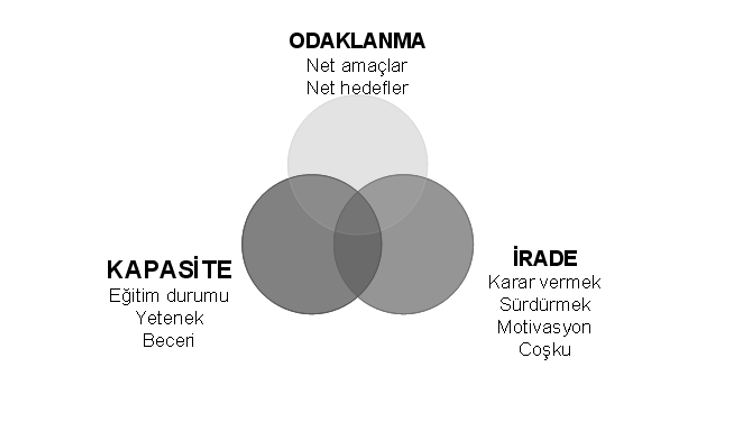 Başarının formülü