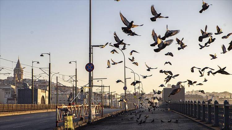 Son dakika haberi: 4 günlük sokağa çıkma kısıtlamasının detayları belli oldu