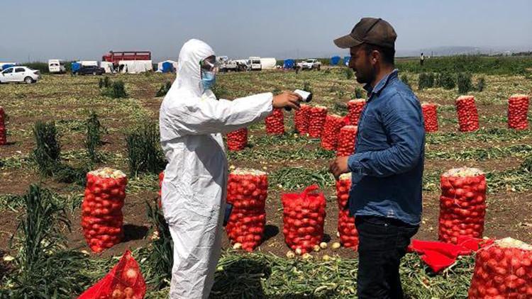 Mevsimlik işçilere koronavirüse karşı tarlada sağlık taraması