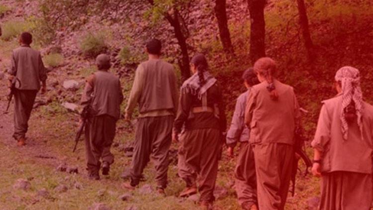 Teslim olan terörist her şeyi anlattı! 'Bir çok terörist koronavirüse yakalandı'