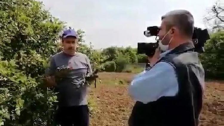 'Sahte limon' haberine soruşturma: 4 gözaltı